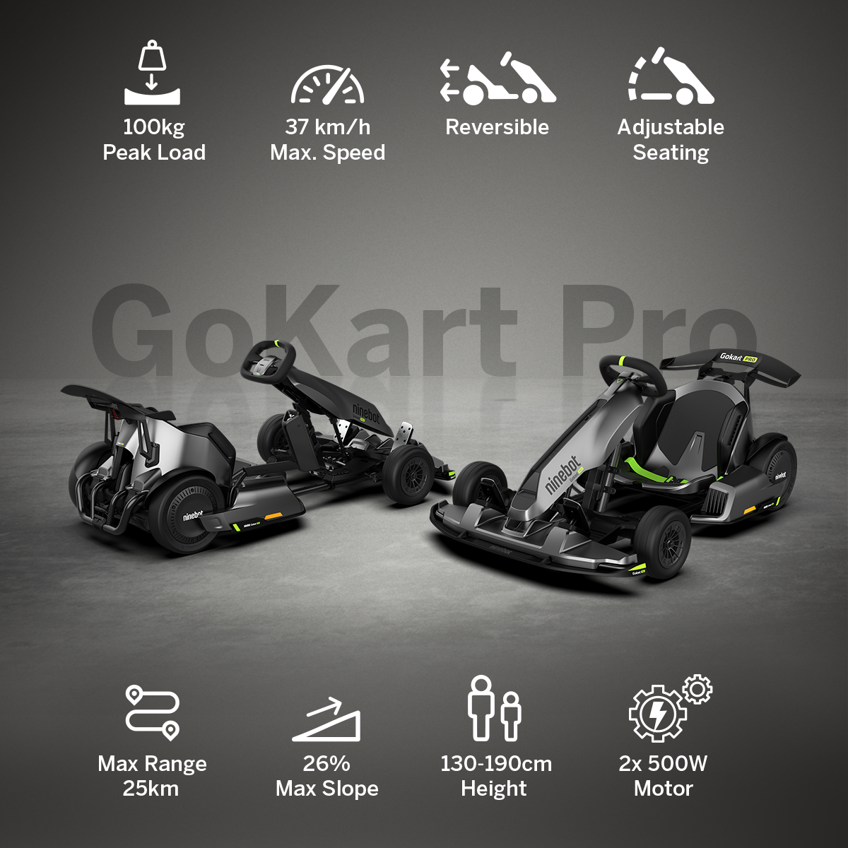 Ninebot Gokart Pro Electrico
